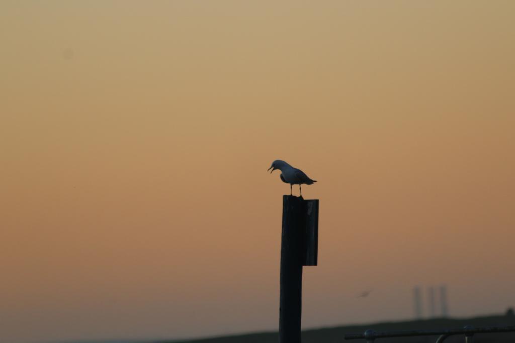 Due South Guest House Langebaan Buitenkant foto
