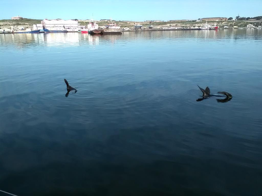 Due South Guest House Langebaan Buitenkant foto