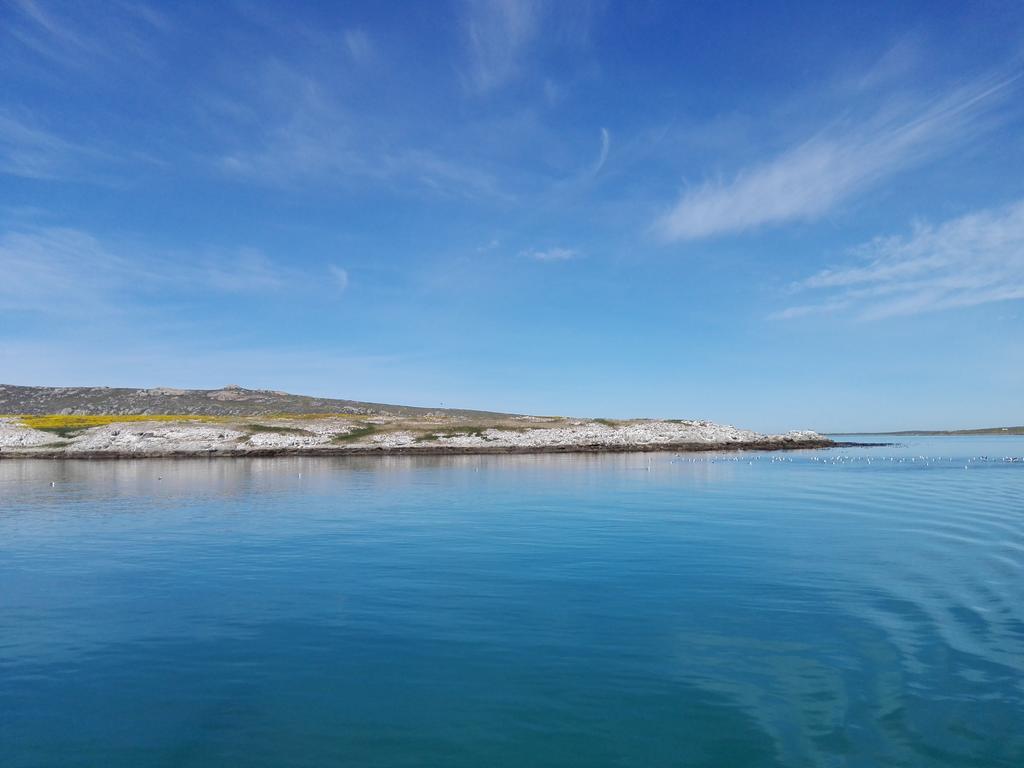 Due South Guest House Langebaan Buitenkant foto